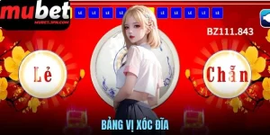 BẢNG VỊ XÓC ĐĨA