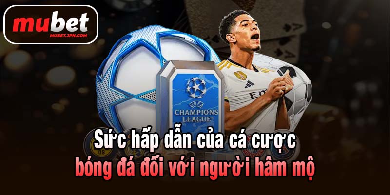 Sức hấp dẫn của cá cược bóng đá đối với người hâm mộ