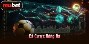 Cá cược bóng đá