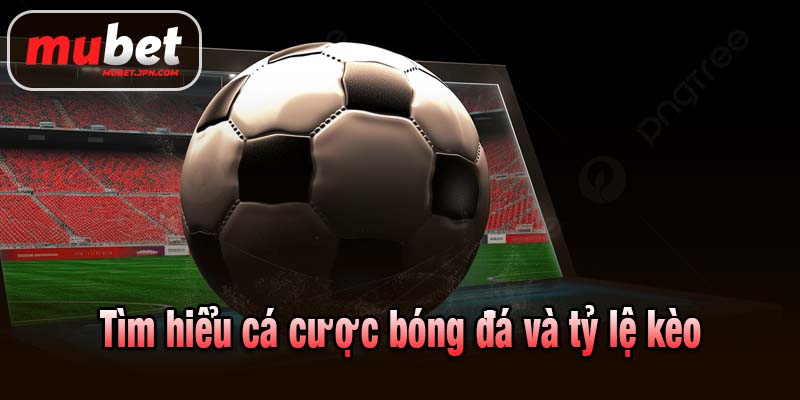 Tìm hiểu cá cược bóng đá và tỷ lệ kèo