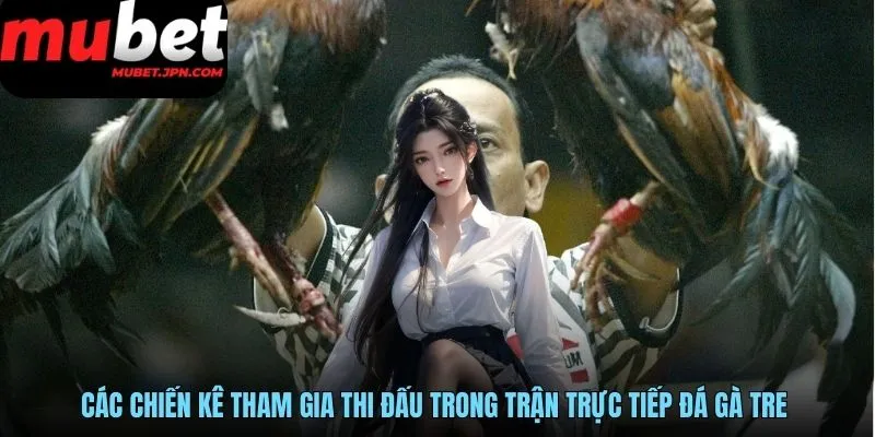 Các chiến kê tham gia thi đấu trong trận trực tiếp đá gà tre 