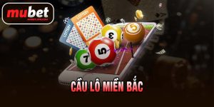 CẦU LÔ MIỀN BẮC