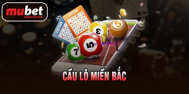 CẦU LÔ MIỀN BẮC