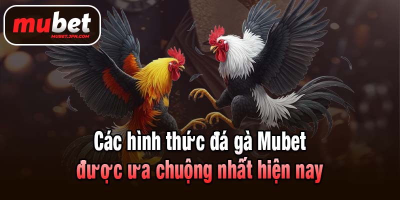 Các hình thức đá gà Mubet được ưa chuộng nhất hiện nay