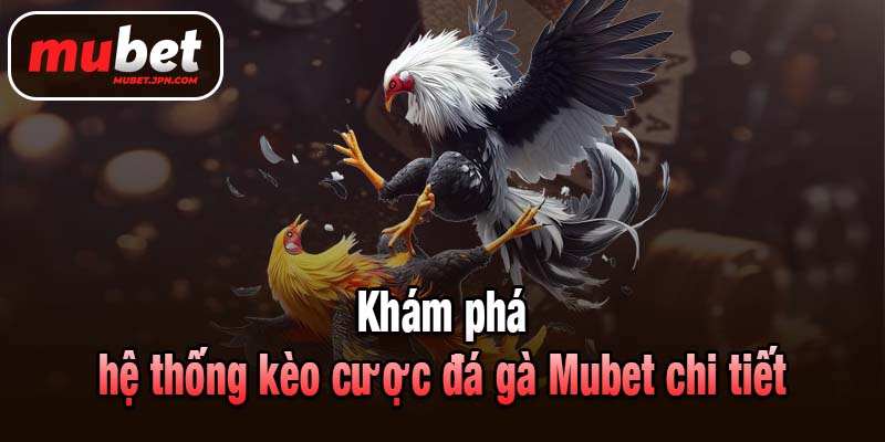 Khám phá hệ thống kèo cược đá gà Mubet chi tiết