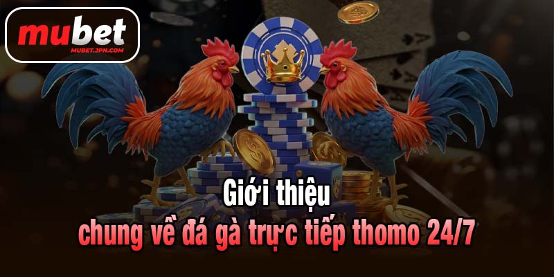 Giới thiệu chung về đá gà trực tiếp thomo 24/7