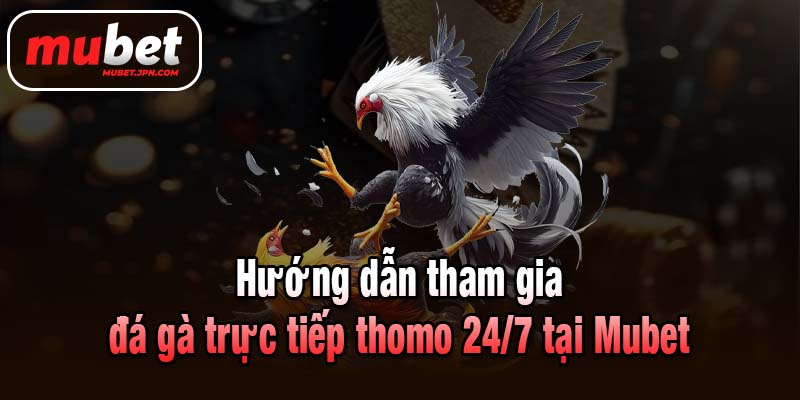 Hướng dẫn tham gia đá gà trực tiếp thomo 24/7 tại Mubet