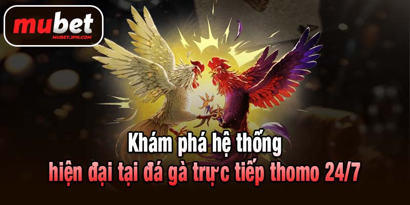 Khám phá hệ thống hiện đại tại đá gà trực tiếp thomo 24/7