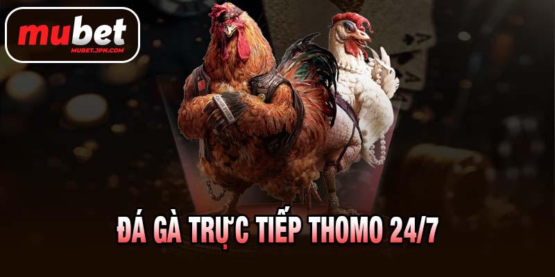 đá gà trực tiếp thomo 24/7