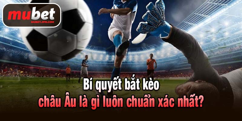 Bí quyết bắt kèo châu Âu là gì luôn chuẩn xác nhất?
