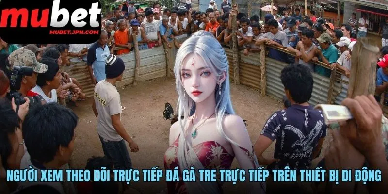 Người xem theo dõi trực tiếp đá gà tre trực tiếp trên thiết bị di động