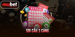 Soi cầu 3 càng